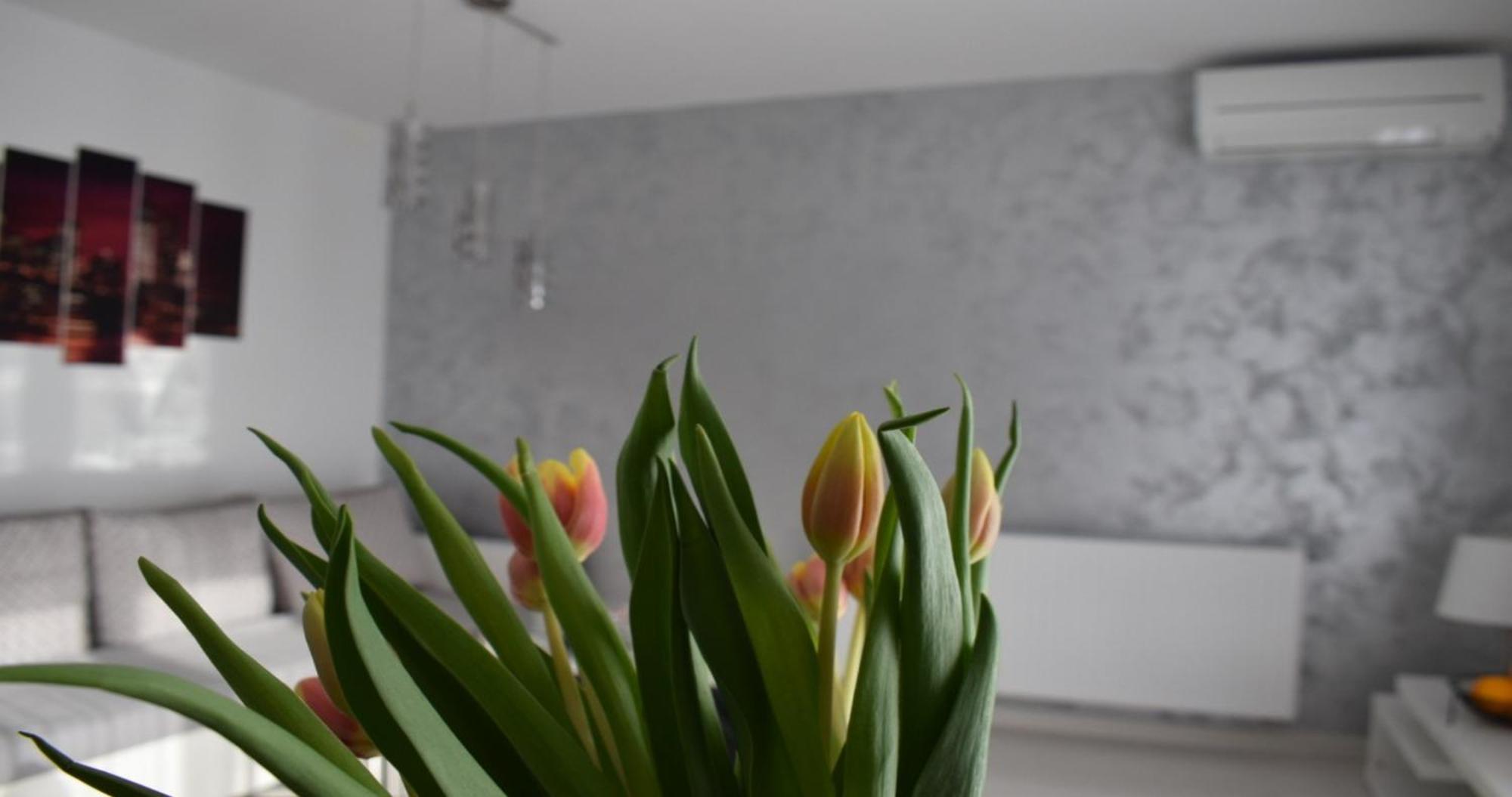 Apartmani Foresta Kras Экстерьер фото