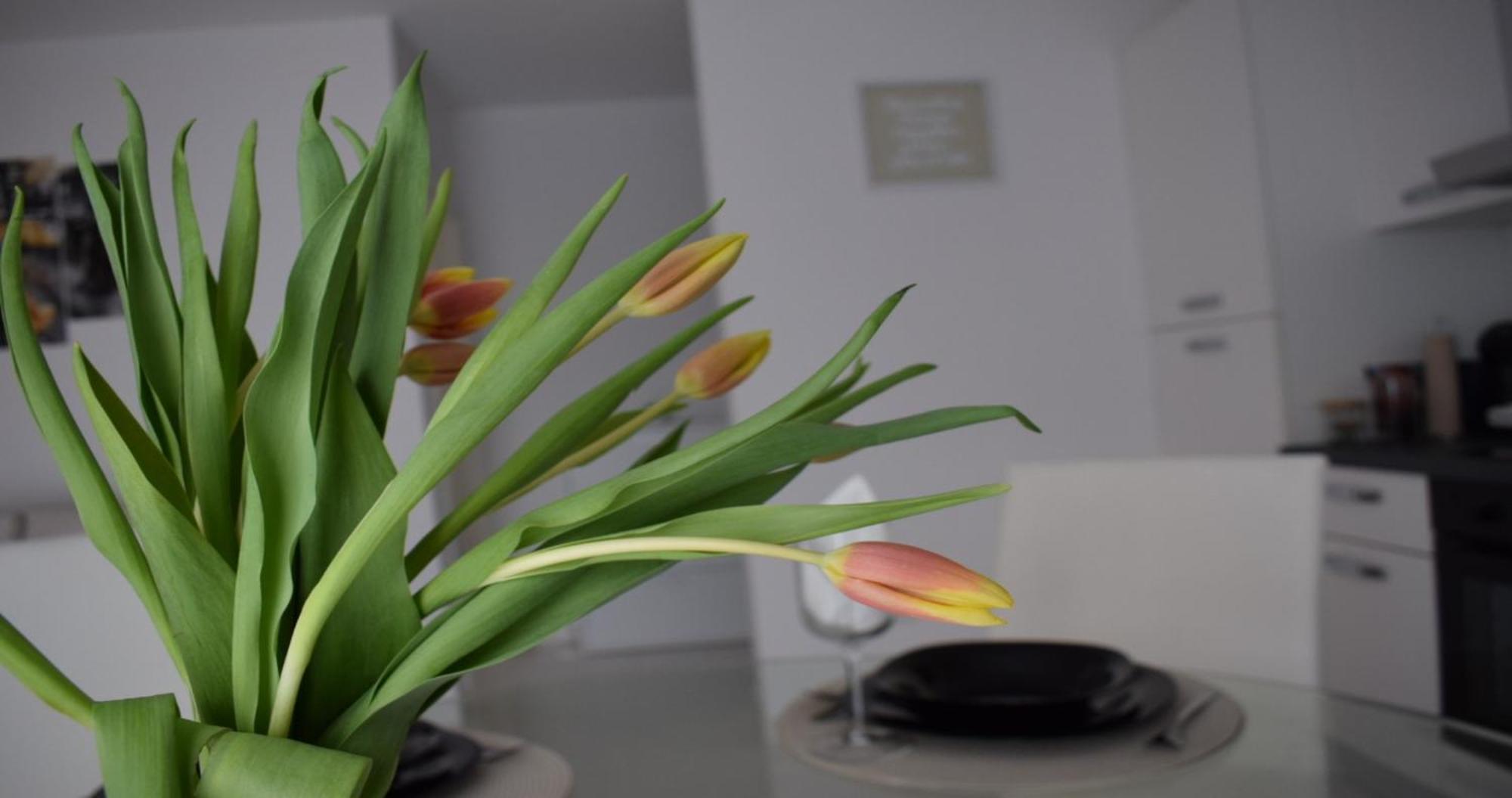 Apartmani Foresta Kras Экстерьер фото
