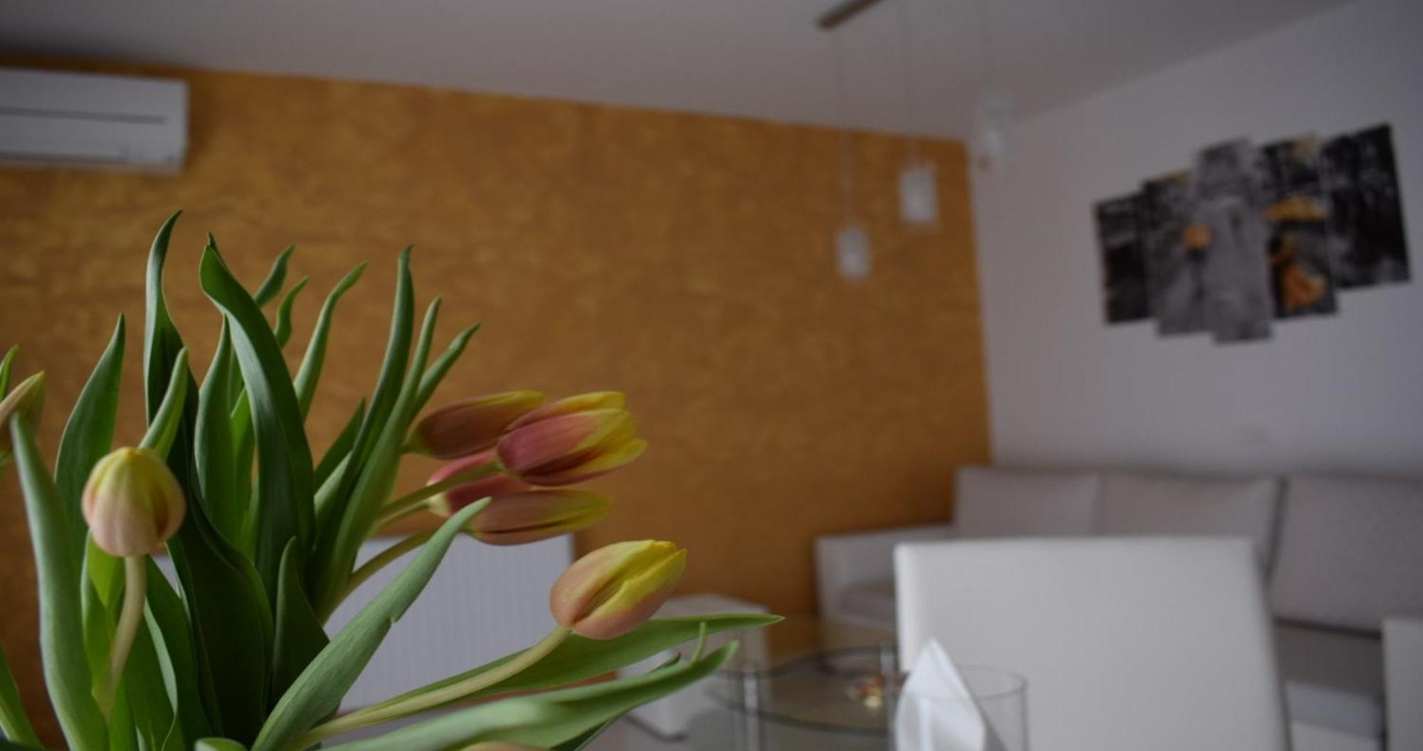 Apartmani Foresta Kras Экстерьер фото